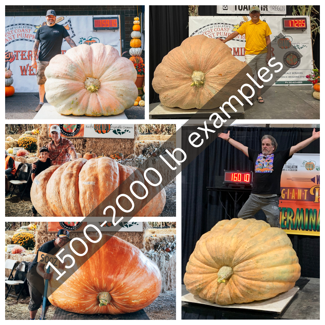 Seed & Membership Sales — Pacific Giant Vegetable Growers